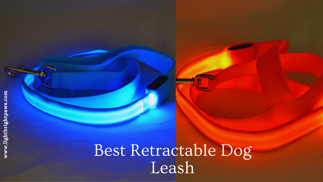 What Is The Best Retractable Dog Leash On Light Bright Paws?