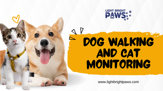 Step into the Future of Dog Walking and Cat Monitoring with Light Bright Paws