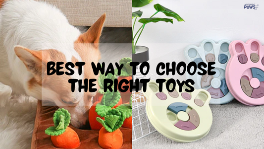 What is the best way to choose the right toys for your dog or cat?