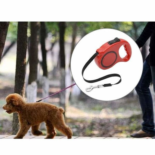 Red Retractable 16ft Dog Walking Leash For Small Medium and Large Dogs - Light Bright Paws