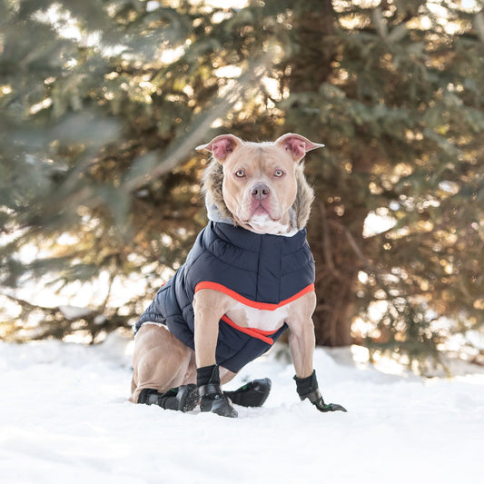 Warm and Stylish with Winter Sailor Parka Navy | Light Bright Paws