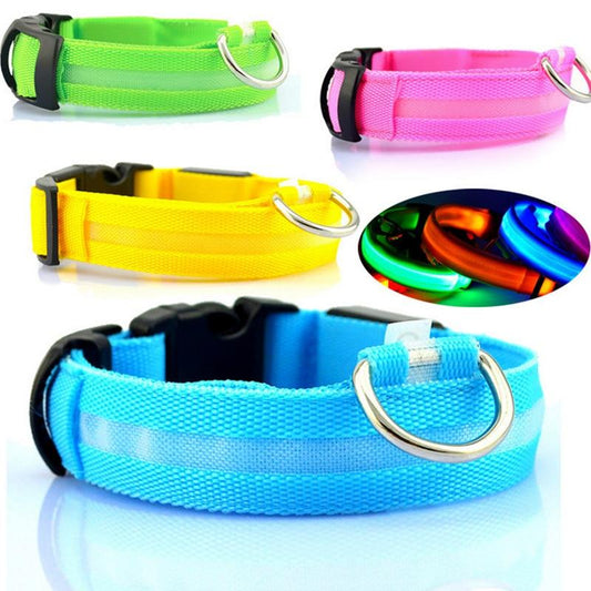 LED Safety Dog Collar | XS-XL | Adjustable USB Rechargeable Light Up Dog Collar - Light Bright Paws