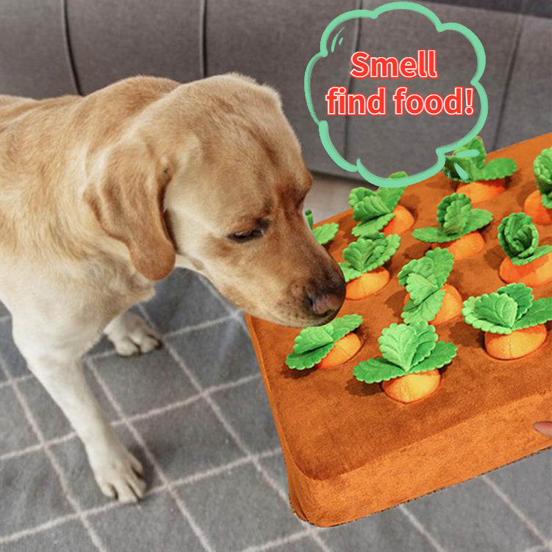 Pet Paradise: Carrot Plush & Snuffle Mat - Fun and Durable Toys for Happy Dogs and Cats!