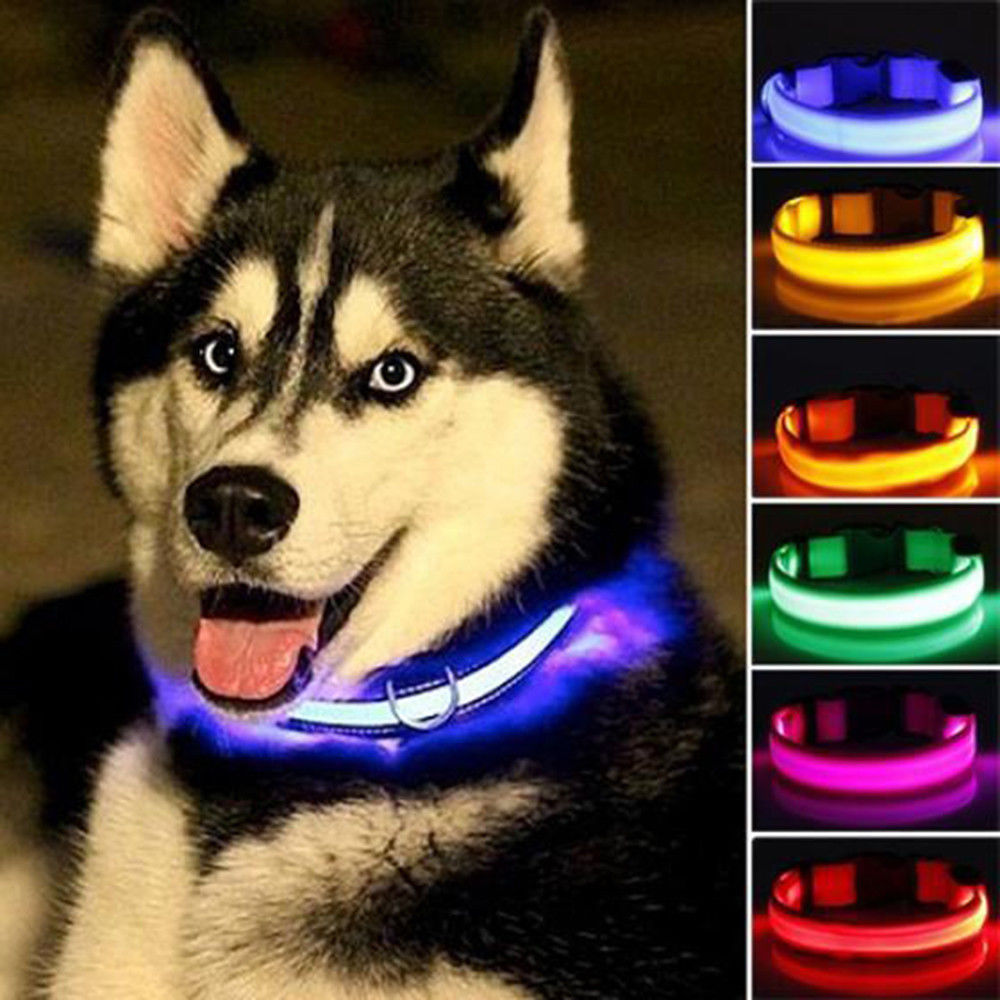 Adjustable LED pet collar set