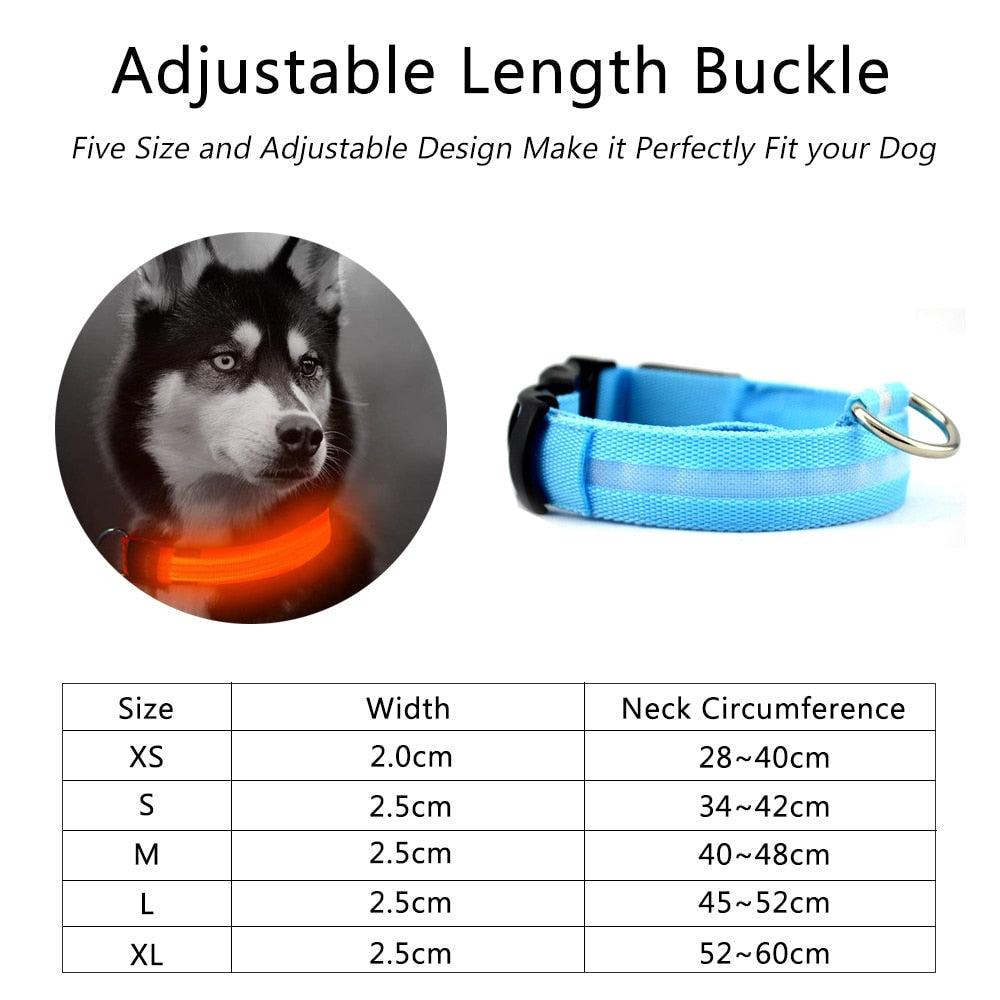 Adjustable LED pet collar set