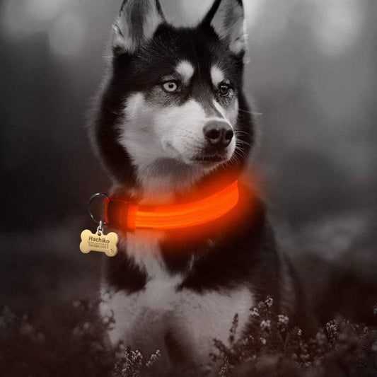 Adjustable LED pet collar set